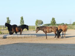 img_3895_web